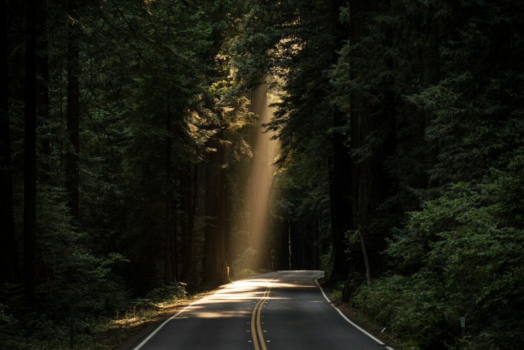 Waldstraße mit Lichtstrahl als Symbol für Orientierung und Testungen in der energetischen Arbeit
